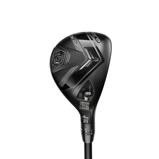 DS-ADAPT Hybrid